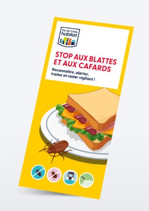 Stop aux blattes et aux cafards