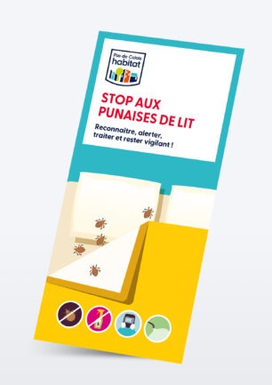 Stop aux punaises de lit